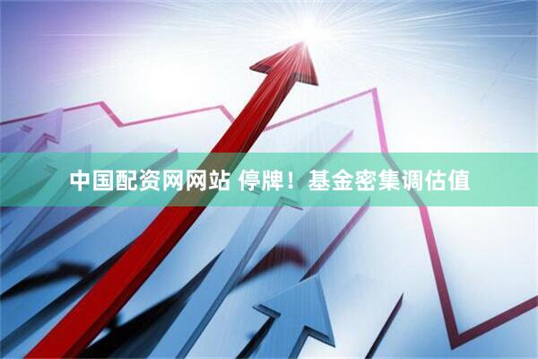 中国配资网网站 停牌！基金密集调估值