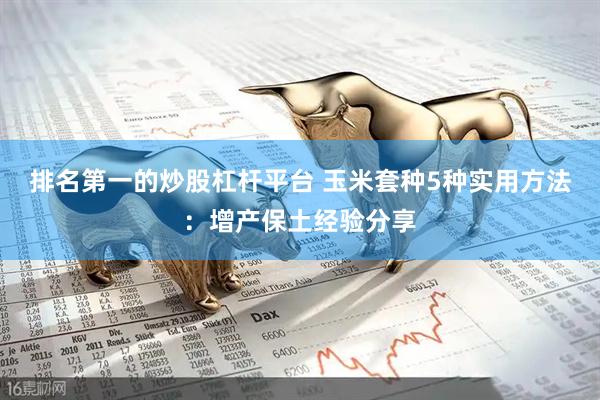 排名第一的炒股杠杆平台 玉米套种5种实用方法：增产保土经验分享