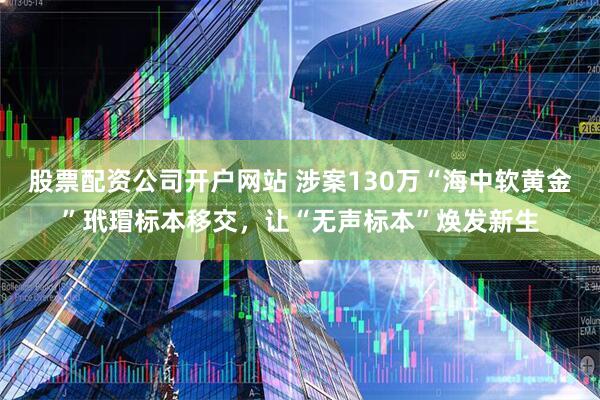 股票配资公司开户网站 涉案130万“海中软黄金”玳瑁标本移交，让“无声标本”焕发新生